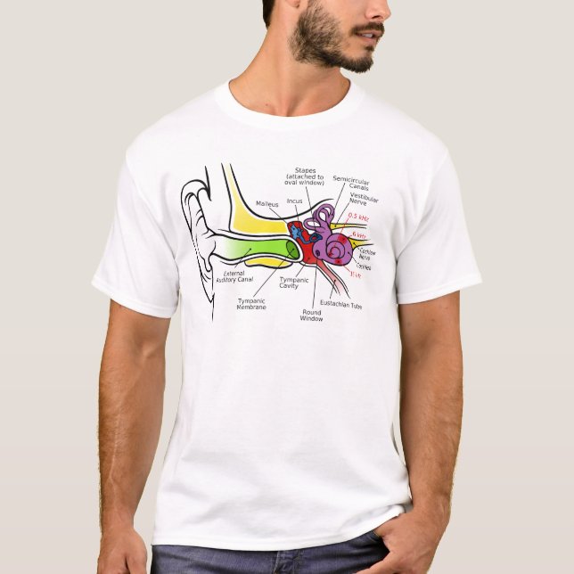 T-shirt Diagrama humano da orelha com traço cocleário da (Frente)