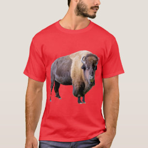 T-shirt do búfalo