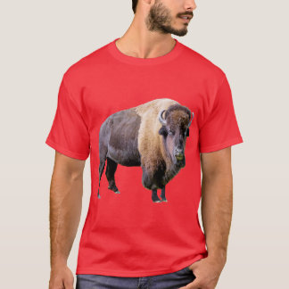 T-shirt do búfalo