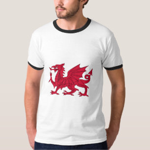 T-shirt do dragão de Galês