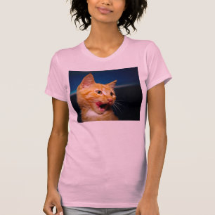 T-shirt do gato de gato malhado
