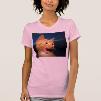 T-shirt do gato de gato malhado
