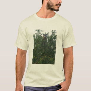 T-shirt do guaxinim