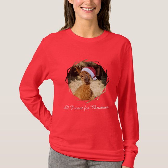 T-shirt do Natal da alpaca (Frente)