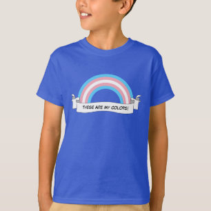 T-shirt do orgulho do arco-íris do Transgender