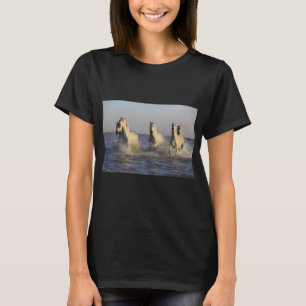 T-shirt do rebanho 
