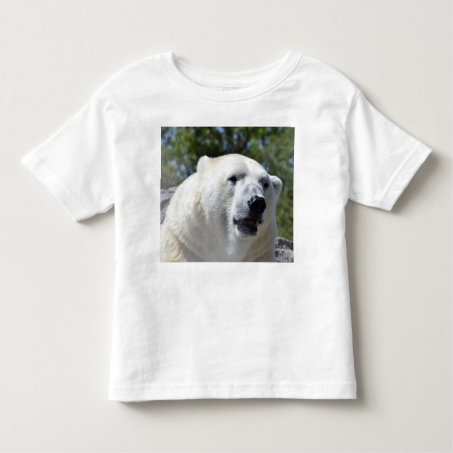 T-shirt do urso polar para miúdos (Frente)