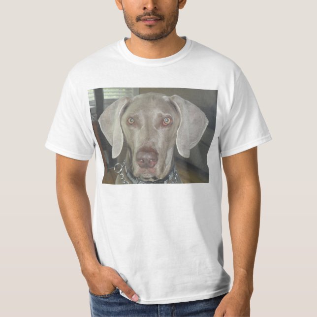 t-shirt do weimaraner (Frente)