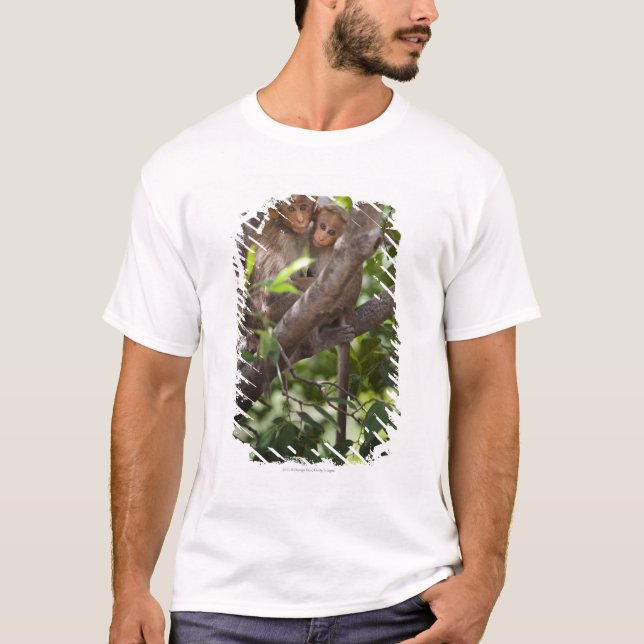 T-shirt Dois macacos em uma árvore (Frente)