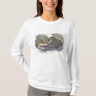 T-shirt Dois Ursos Polares