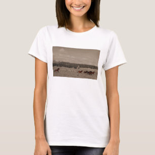 T-shirt dos cavalos selvagens