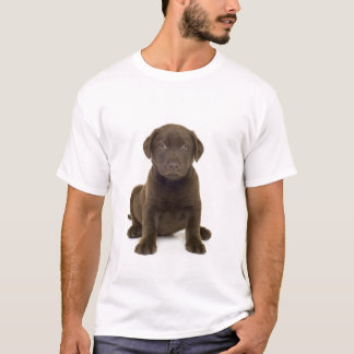 T-shirt dos homens de Labrador do chocolate