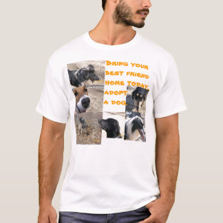 T-shirt dos melhores amigos