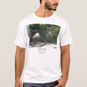 T-shirt DSC05220, CRABS QUALQUER UM? , Praia do