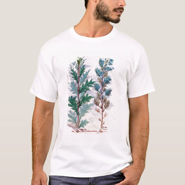 T-shirt Duas variedades de Artemesia (Frente)