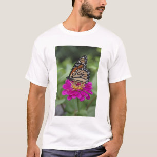 T-shirt E.U.A., Massachusetts, Boylston, Tower Hill