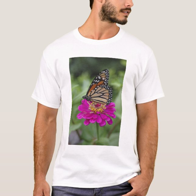 T-shirt E.U.A., Massachusetts, Boylston, Tower Hill (Frente)