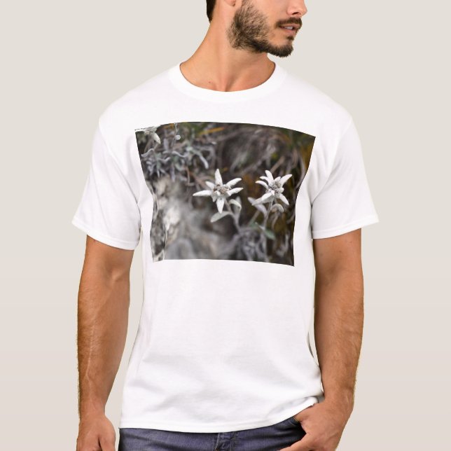 T-shirt Edelweiss alpino (Frente)