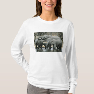 T-shirt Elefante-africano, (Loxodonta africana), bebendo