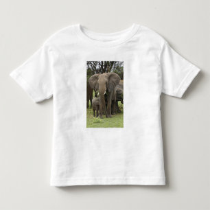 T-shirt Elefante Africano   Manada