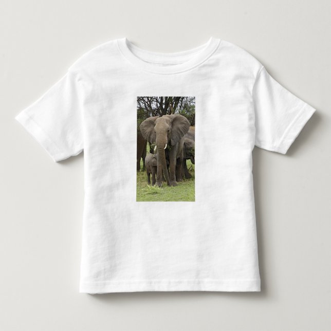 T-shirt Elefante Africano | Manada (Frente)