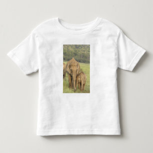 T-shirt Elefante indiano / asiático e filhote, Corbett