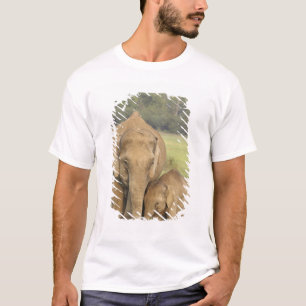 T-shirt Elefante indiano / asiático e filhote, Corbett