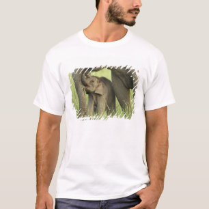 T-shirt Elefante indiano / asiático e filhote, Corbett 2