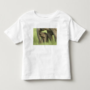 T-shirt Elefante indiano / asiático e filhote, Corbett 2