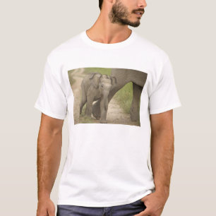 T-shirt Elefante indiano / asiático e filhote, Corbett 2