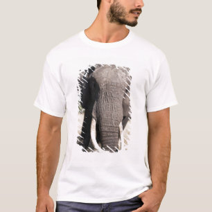 T-shirt Elefante (Loxodonta africana), Abu Camp 3