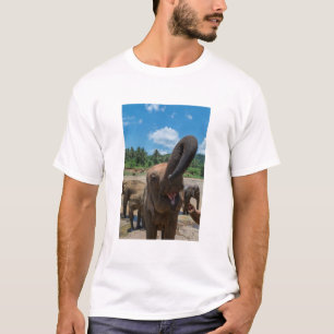T-shirt Elefante Sri Lanka