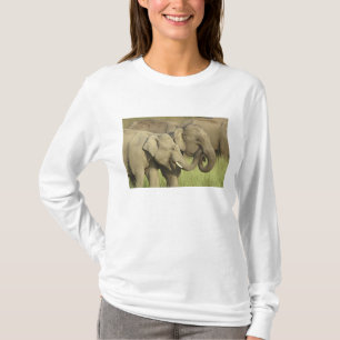 T-shirt Elefantes asiáticos indianos