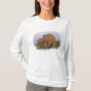 T-shirt Elefantes indianos na pastagem