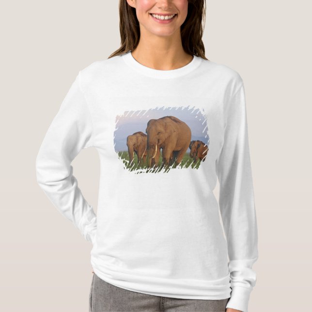 T-shirt Elefantes indianos na pastagem (Frente)