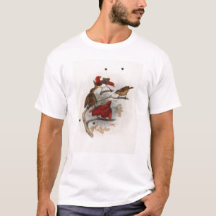 T-shirt Elliot - Cicinnurus régios - rei pássaro do