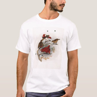 T-shirt Elliot - Cicinnurus régios - rei pássaro do