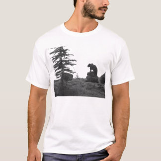 T-SHIRT ENCONTROS DO URSO DE URSO DE MONTANA