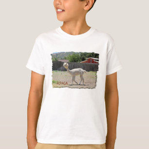 T-shirt engraçado da alpaca