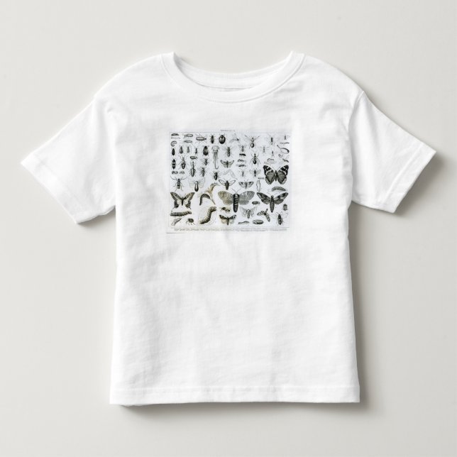 T-shirt Entomologia (Frente)