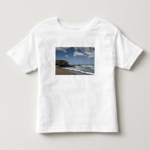 T-shirt Equador, Galápagos, Santiago (também conhecido com