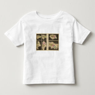 T-shirt Era cristã 1921