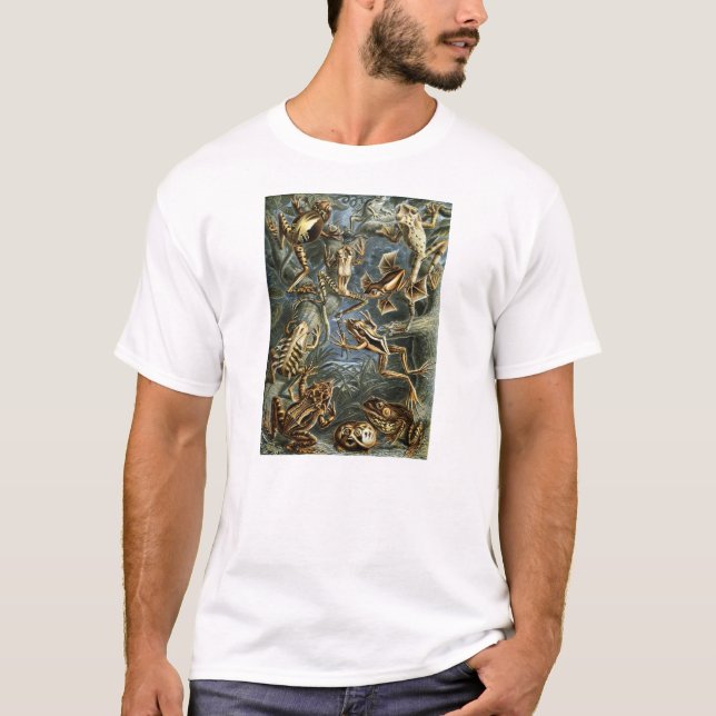 T-shirt Ernst Haeckel - Batrachia (Frente)