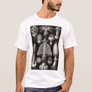 T-shirt Ernst Haeckel - cogumelos de Basimycetes