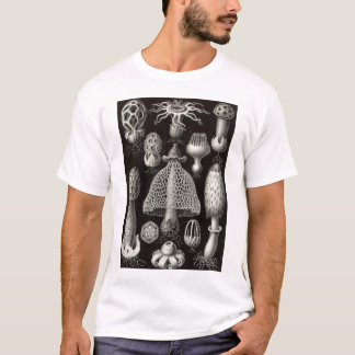 T-shirt Ernst Haeckel - cogumelos de Basimycetes