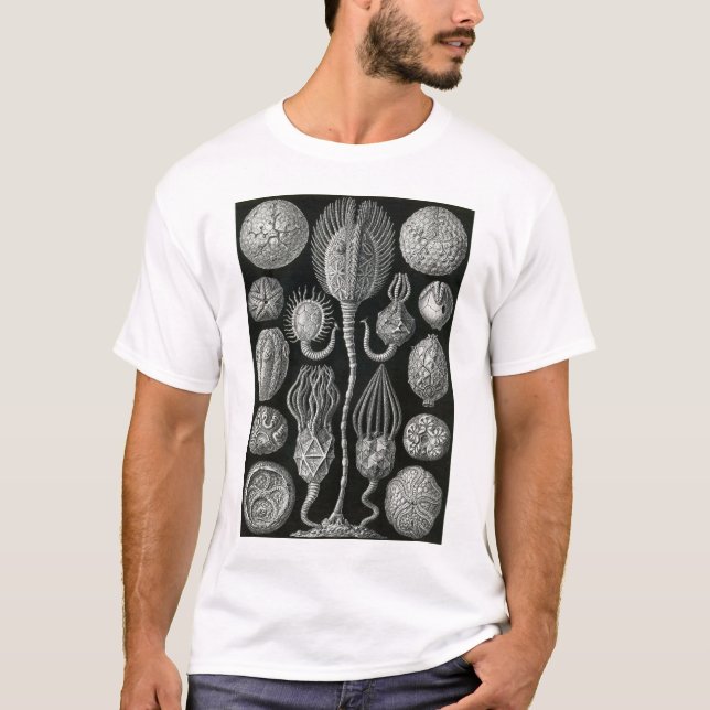 T-shirt Ernst Haeckel - Cystoidea (Frente)