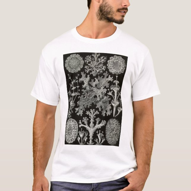 T-shirt Ernst Haeckel - Lichenes (Frente)