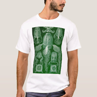 T-shirt Ernst Haeckel - medusa-água-viva