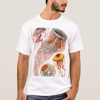 T-shirt Ernst Haeckel - Tshirt de Discomedusae