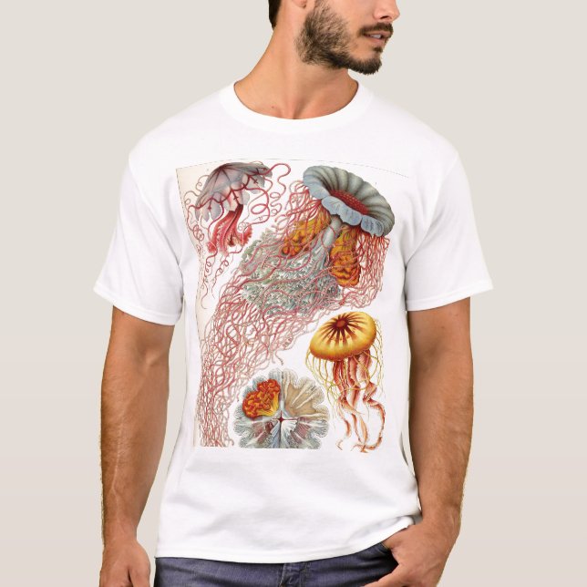 T-shirt Ernst Haeckel - Tshirt de Discomedusae (Frente)